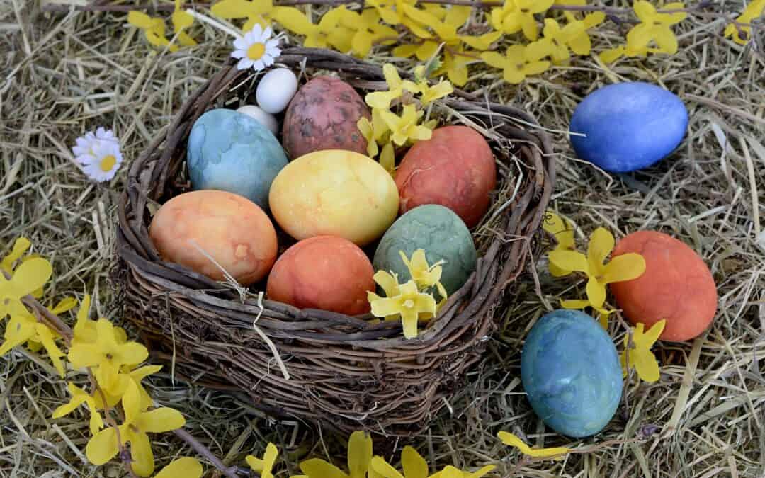 Natürlich bunte Ostern: nachhaltiges Färben und Dekorieren